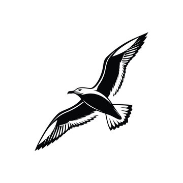 Soaring Bird Silhouette with Outstretched Wings – Minimal Vector Art