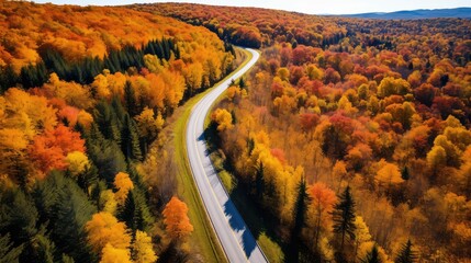 Wall Mural - adventure fall road background