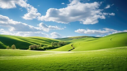 Wall Mural - landscape green hill