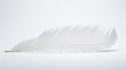 Wall Mural - texture feather white background