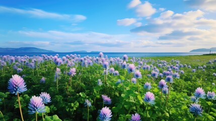 Poster - flowers blue clover