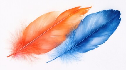 Wall Mural - A serene arrangement of vibrant orange and blue feathers, delicately resting side by side with soft focus