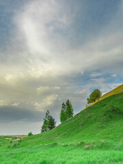 Wall Mural - hillside with a few trees and a cloudy sky