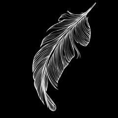 Poster - Elegant feather design, artistic illustration, suitable for logo, branding, or print