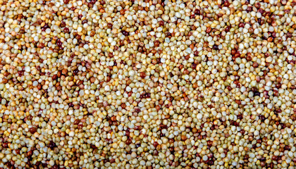 Fototapete - Repeating pattern of tiny quinoa grains, emphasizing their round shape and light beige or red color. Ideal for healthy eating, superfoods, or modern cuisine concepts. Texture, background.