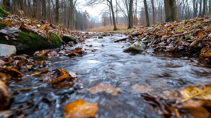 Poster - Flowing stream surrounded by colorful autumn leaves in a serene natural setting : Generative AI
