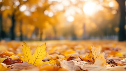 Poster - Golden autumn leaves scattered on ground glowing in soft sunlight captivating the essence of fall : Generative AI