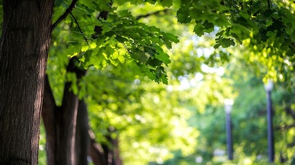 Poster - Lush Green Foliage Shining in the Sunlight Creating a Peaceful Natural Atmosphere : Generative AI