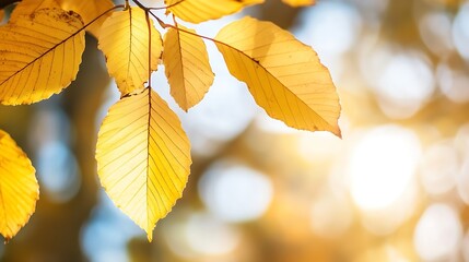 Aufkleber - Golden Autumn Leaves Illuminated by Sunlight with a Soft Background Creating a Warm Atmosphere : Generative AI