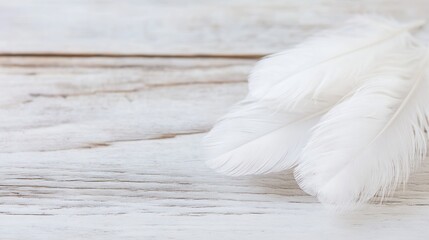 Aufkleber - Delicate White Feathers on Rustic Wooden Surface for Artistic Background : Generative AI