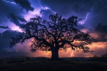 Wall Mural - Majestic oak tree silhouetted against a dramatic sunset sky filled with vibrant lightning strikes.