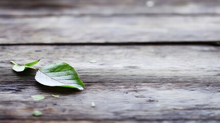Poster - Single green leaf on aged wooden table creating a natural and serene minimalist composition : Generative AI
