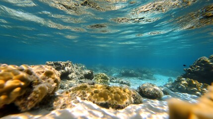 Poster - Underwater view of vibrant coral reefs and crystal clear water with sunlight filtering through : Generative AI