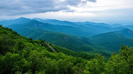 Poster - Breathtaking Mountain Landscape with Lush Green Forest Under Cloudy Sky : Generative AI
