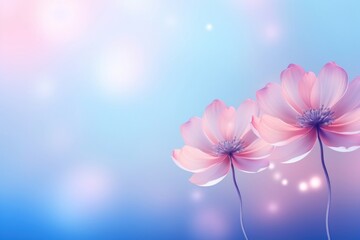 Wall Mural - Minimal flower abstract background outdoors blossom nature.