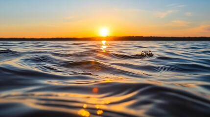 Wall Mural - Stunning sunset over calm waters creating beautiful ripples and reflections during golden hour : Generative AI