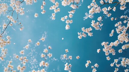 Aufkleber - A natural scene with a tree branch covered in white flowers, suitable for use in botanical or nature-themed designs