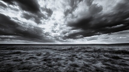 Poster - Dramatic black and white landscape with dark clouds looming above a lush green field creating a moody atmosphere : Generative AI
