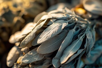 Aufkleber - A close-up view of a bundle of sage leaves
