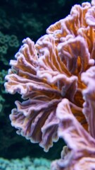 Poster - Vibrant Coral Sculpture