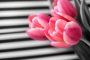 Poster - A bouquet of pink tulips arranged in a decorative vase, perfect for floral arrangements or still life photography