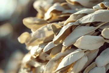 Aufkleber - A close-up shot of a bunch of leaves with intricate details