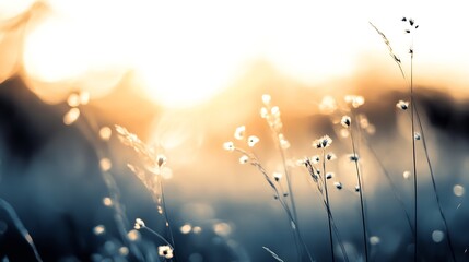 Poster - Delicate wildflowers swaying in the gentle breeze under soft sunlight in a dreamy atmosphere : Generative AI