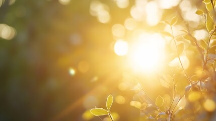 Fototapete - Golden sunlight filtering through leaves creating a warm natural background with bokeh effect : Generative AI