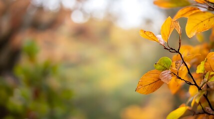 Poster - Closeup view of autumn leaves showcasing vibrant colors and a blurred natural background focus : Generative AI