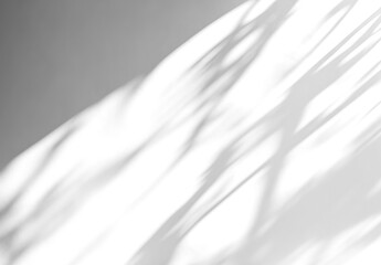 Fototapete - Isolated soft shadows overlay of leaves through a window on a wall. Transparent background. Black shadow brush. Generative ai