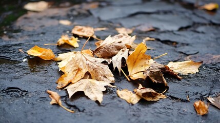 Aufkleber - Fallen autumn leaves scattered on wet pavement after rain creating vibrant natural artwork : Generative AI