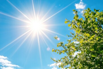 Aufkleber - A single tree with sunlight shining through its leaves, creating a warm and inviting atmosphere