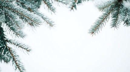 Poster - A detailed view of a tree branch covered in snow, ideal for winter-themed designs
