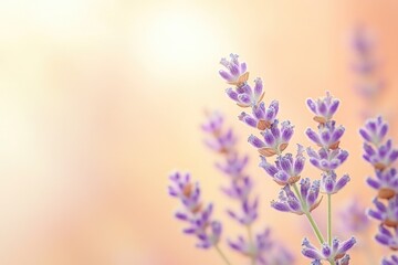 Poster - A close-up shot of a cluster of purple flowers, great for representing beauty and elegance in various contexts