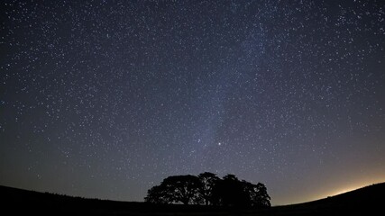 Aufkleber - Starry Wilderness Serenity