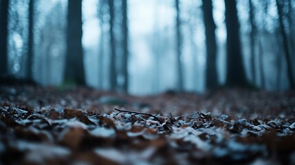Poster - Mysterious fog enveloping a quiet forest with fallen leaves creating a serene atmosphere : Generative AI