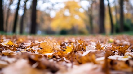Poster - Close Up of Vibrant Autumn Leaves on Ground Evoking a Serene Fall Landscape in Nature's Embrace : Generative AI