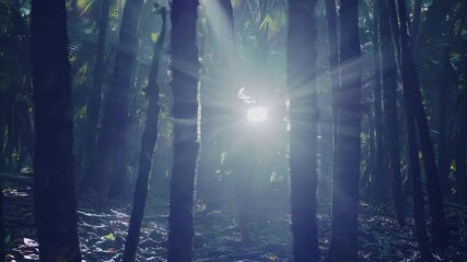 Fototapete - Enchanted Rainforest Glimpse