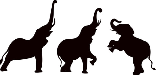 Wall Mural - Circus elephants in different poses set black silhouette, vector