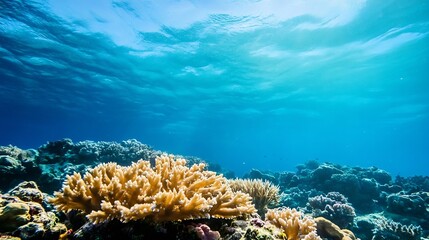 Aufkleber - Vibrant underwater coral reef scene showcasing colorful corals and marine life in sunlit water : Generative AI