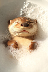 Aufkleber - A subtly misty environment with the otter resting in the bubbly water, soft highlights on its damp