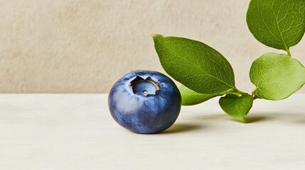 Wall Mural - Elegant Macro shot of a single plump blueberry showing its smooth surface and natural bloom highlighting its vibrant color and texture 