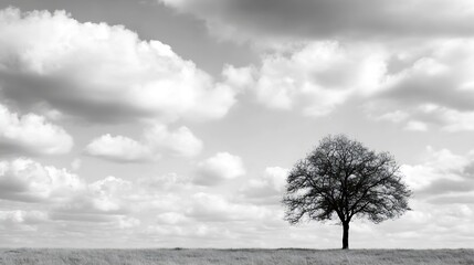 Aufkleber - Stunning black and white landscape featuring a solitary tree under dramatic clouds : Generative AI