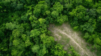 Wall Mural - Aerial View of Dense Lush Green Forest with Open Patch Captured from Above : Generative AI