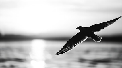 Poster - Beautiful silhouette of a bird in flight against a serene lake background showcasing tranquility and freedom : Generative AI