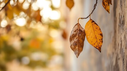 Poster - Close Up of Autumn Leaves on a Branch Against a Softly Blurred Background Creating a Warm Feel : Generative AI
