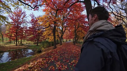 Aufkleber - Walking through vibrant autumn trees along a serene path in the park during a sunny day