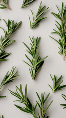 Wall Mural - Fresh rosemary sprigs arranged on white background for culinary herb concept in modern minimalist style