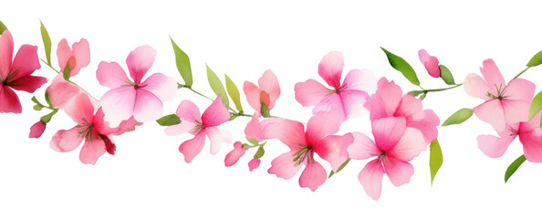 Wall Mural - PNG Pink flowers blossom petal plant.