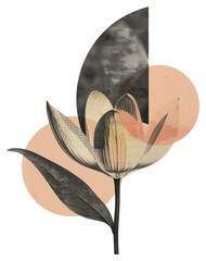 Wall Mural - png arch retro paper painting flower design.